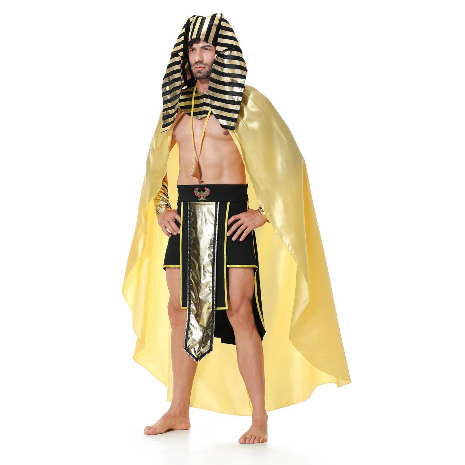 Costume d'Halloween Pharaon Royal pour Homme Adulte