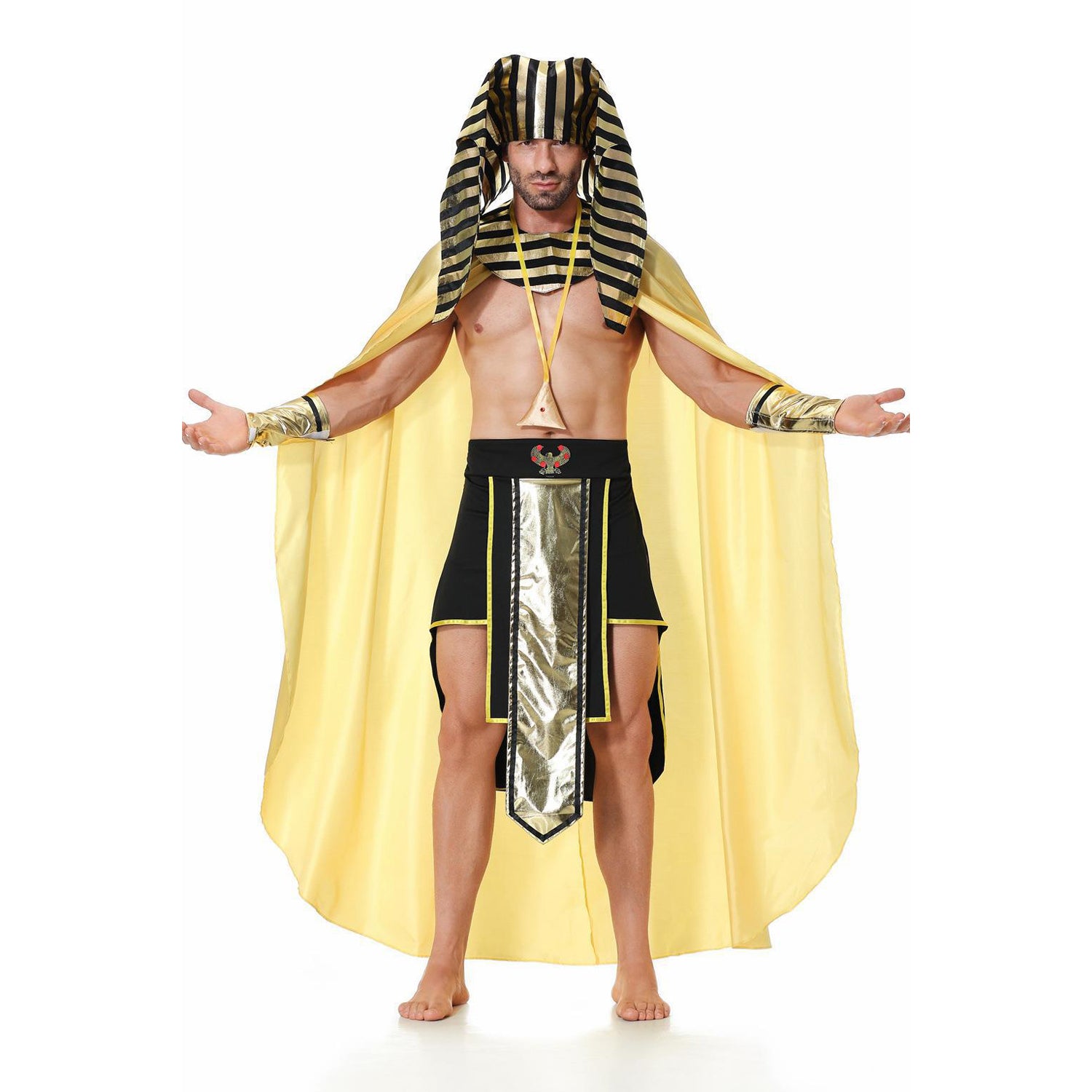 Costume d'Halloween Pharaon Royal pour Homme Adulte