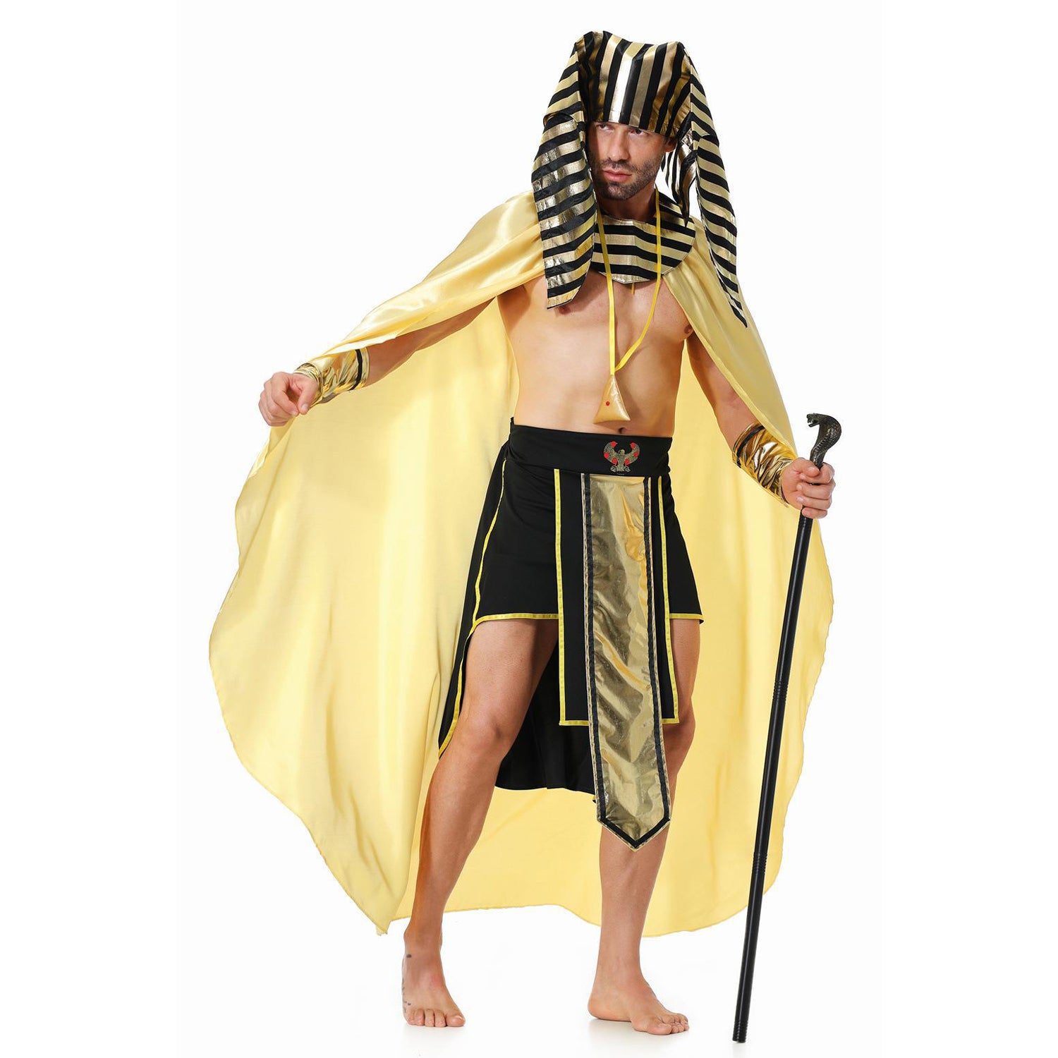Costume d'Halloween Pharaon Royal pour Homme Adulte