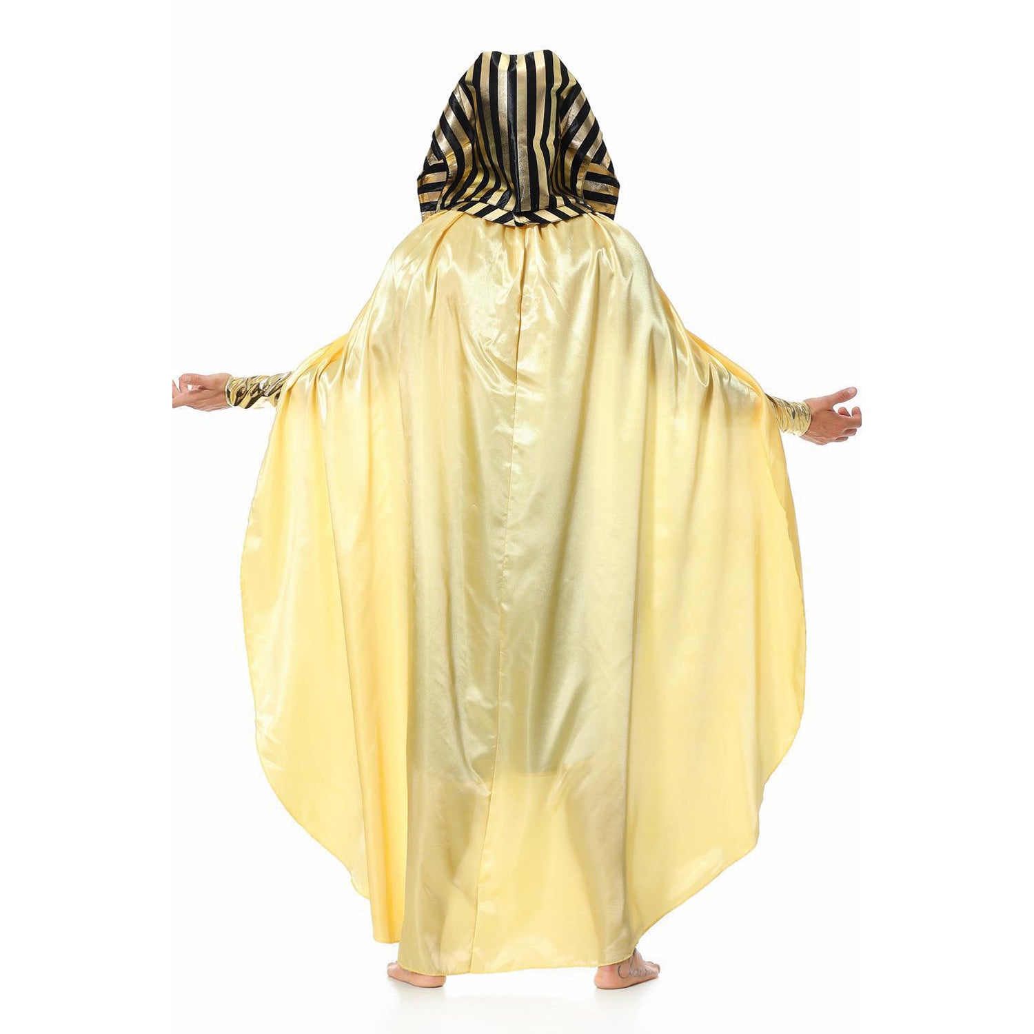 Costume d'Halloween Pharaon Royal pour Homme Adulte