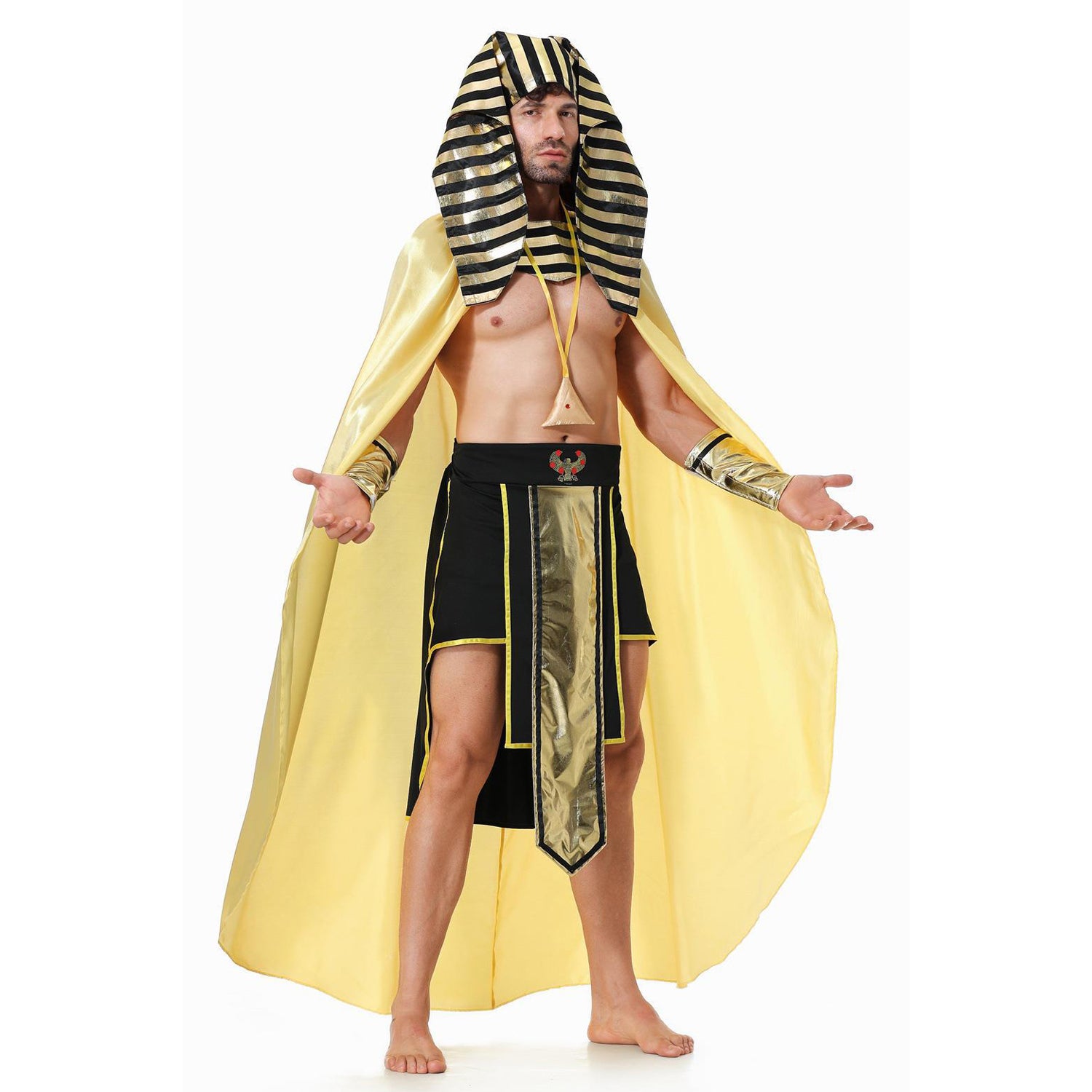 Costume d'Halloween Pharaon Royal pour Homme Adulte
