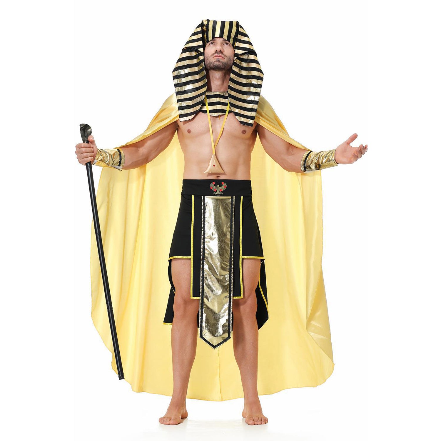 Costume d'Halloween Pharaon Royal pour Homme Adulte